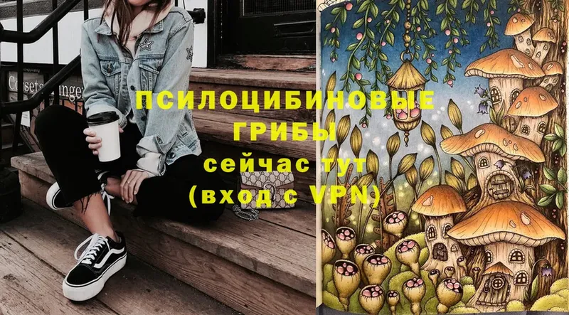 кракен маркетплейс  Буй  Галлюциногенные грибы Psilocybe  где найти  